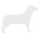 HTC Desire 20 Pro Phone Case Wallet Flip Cover Folio Leather Case Stand Display Card Pocket